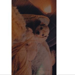 Meet your Posher, Jazmin